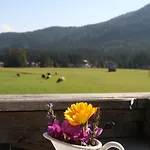 Wirtseppelerhof * Leutasch