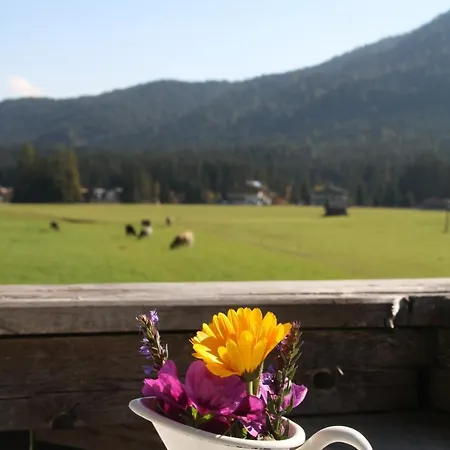Wirtseppelerhof * Leutasch