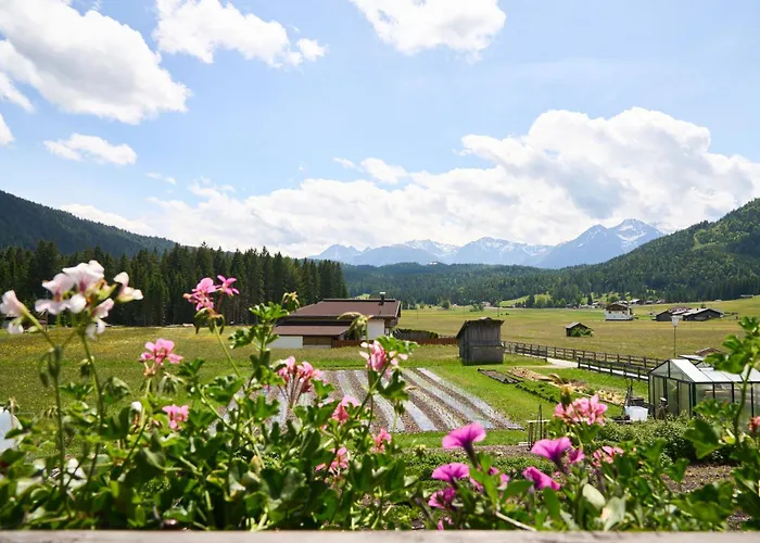 Wirtseppelerhof شقة