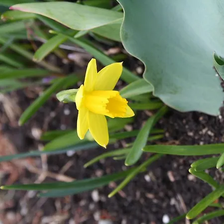 Wirtseppelerhof * 로이타쉬