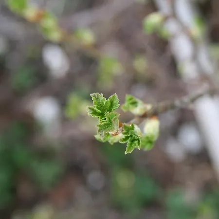 Wirtseppelerhof 아파트 로이타쉬